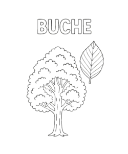 Ausmalbild Herbst 026