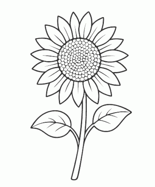 Ausmalbild-Blumen_003