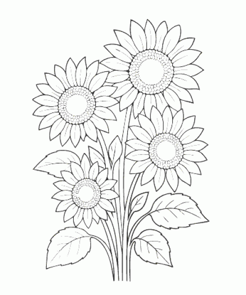 Ausmalbild-Blumen_004