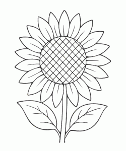 Ausmalbild-Blumen_034