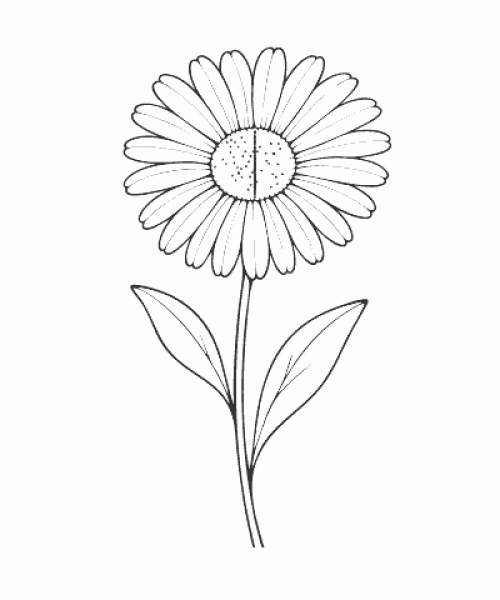 Ausmalbild-Blumen_038