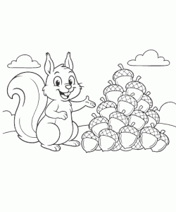 Ausmalbild-Eichhoernchen_003