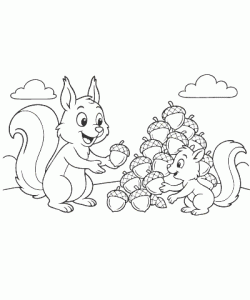 Ausmalbild-Eichhoernchen_005