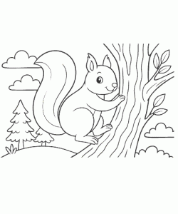 Ausmalbild-Eichhoernchen_006