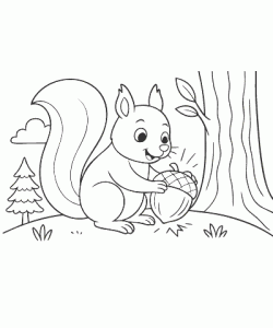 Ausmalbild-Eichhoernchen_008