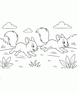 Ausmalbild-Eichhoernchen_015