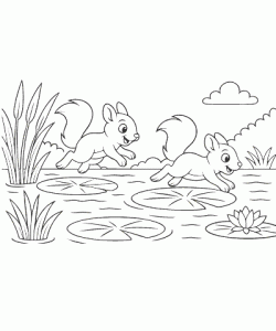 Ausmalbild-Eichhoernchen_019