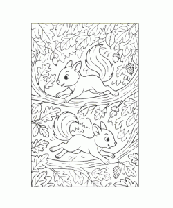 Ausmalbild Eichhoernchen 027