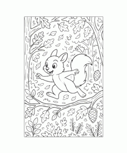 Ausmalbild Eichhoernchen 030
