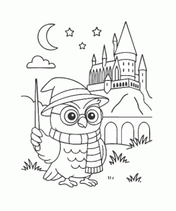 Ausmalbild-Eule_012