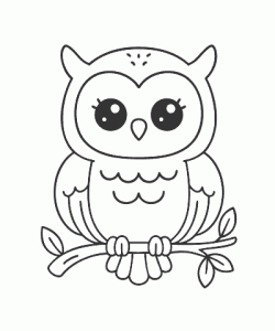 Ausmalbild Eule 023