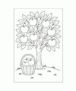 Ausmalbild-Fruechte_010_Apfelbaum