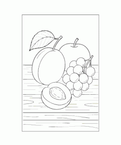 Ausmalbild-Fruechte_015
