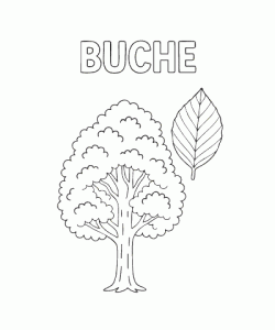 Ausmalbild Herbst 026