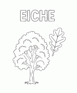 Ausmalbild Herbst 027