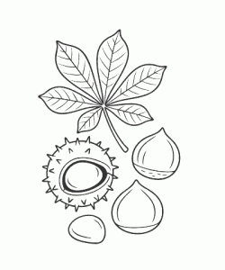 Ausmalbild Herbst 028