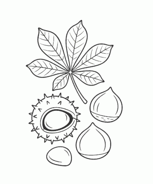 Ausmalbild Herbst 028