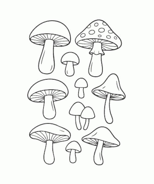 Ausmalbild Herbst 029