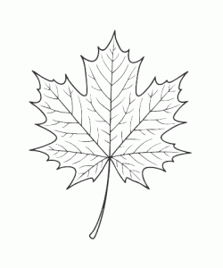 Ausmalbild Herbst 032