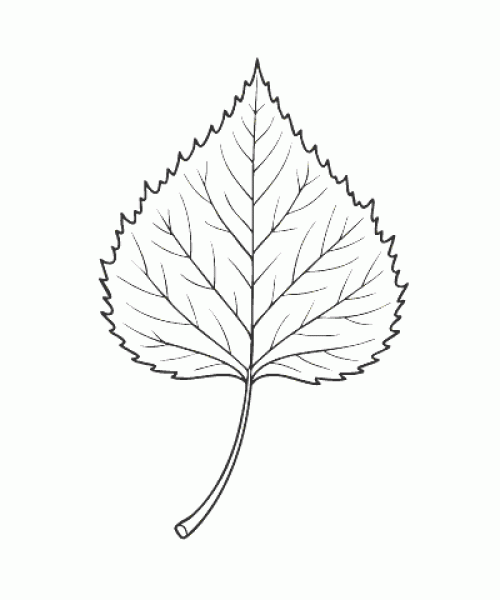 Ausmalbild Herbst 033