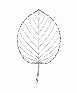 Ausmalbild Herbst 035