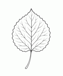 Ausmalbild Herbst 038