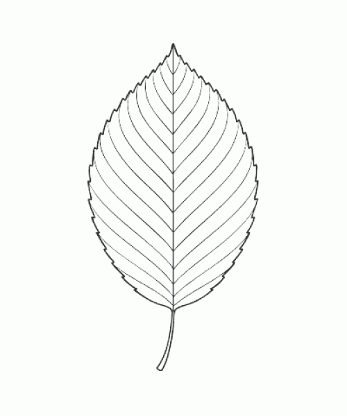 Ausmalbild Herbst 040