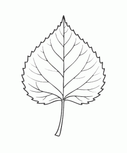 Ausmalbild Herbst 042