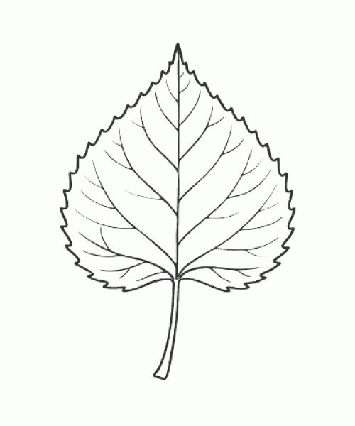 Ausmalbild Herbst 042