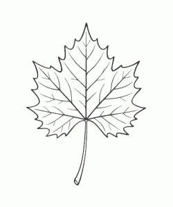 Ausmalbild Herbst 043