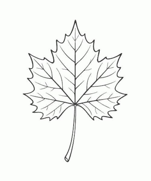 Ausmalbild Herbst 043