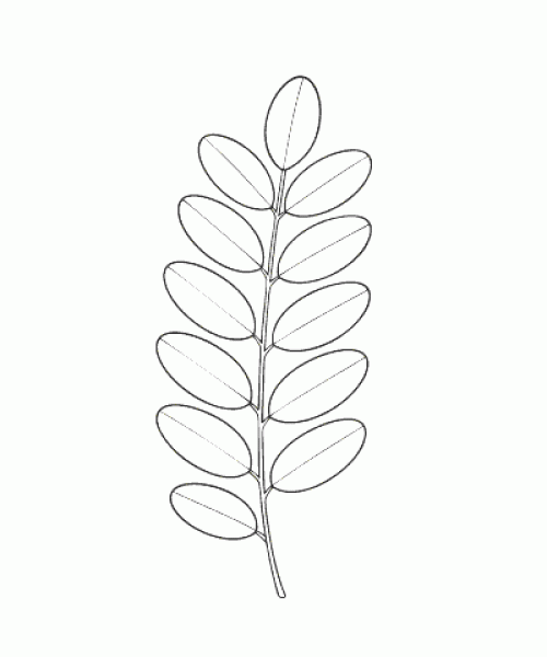 Ausmalbild Herbst 044