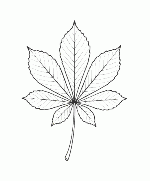 Ausmalbild Herbst 045