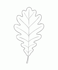 Ausmalbild Herbst 047