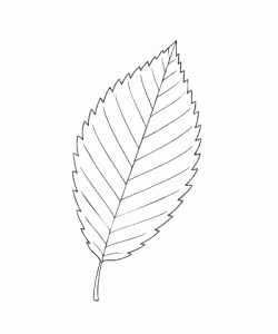 Ausmalbild Herbst 048