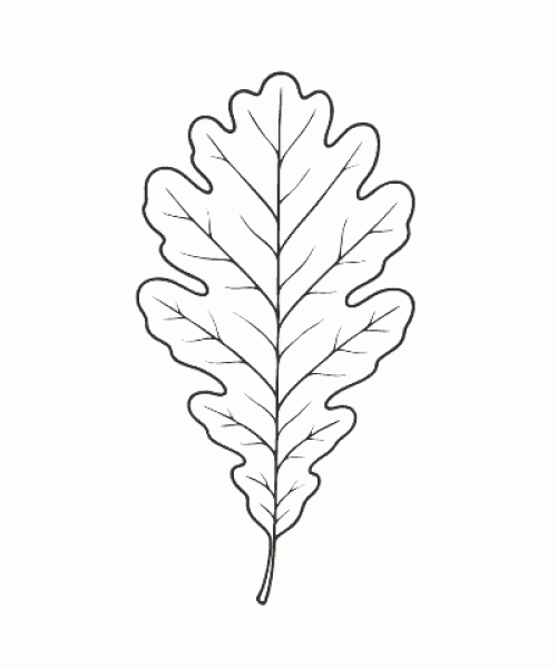 Ausmalbild Herbst 049