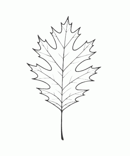 Ausmalbild Herbst 054