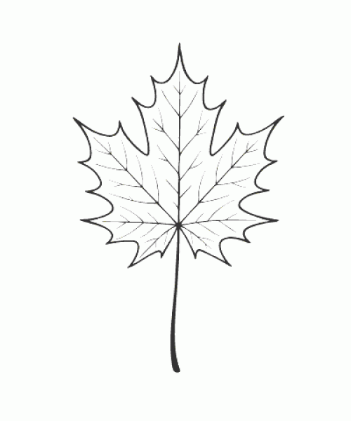 Ausmalbild Herbst 055