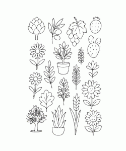 Ausmalbild Pflanze 004