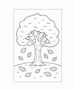 Ausmalbild Pflanze 007