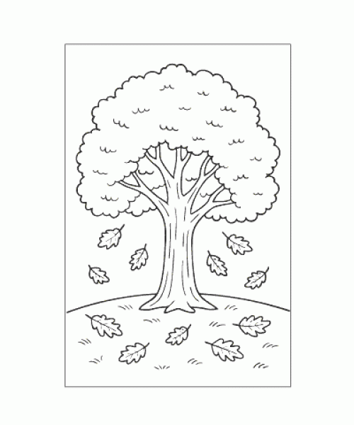 Ausmalbild Pflanze 007