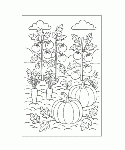 Ausmalbild Pflanze 017