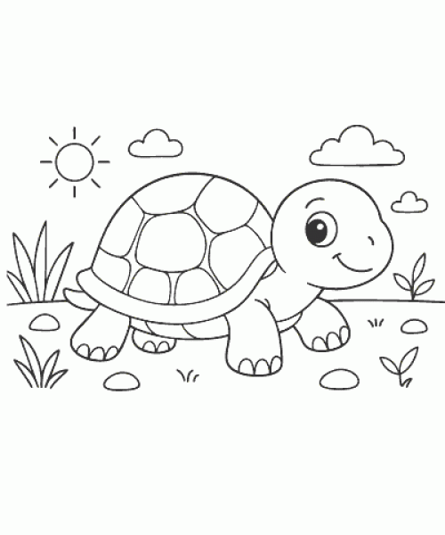 Ausmalbild Schildkröte 001