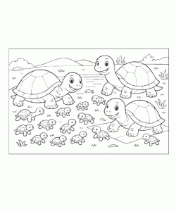 Ausmalbild Schildkröte 022