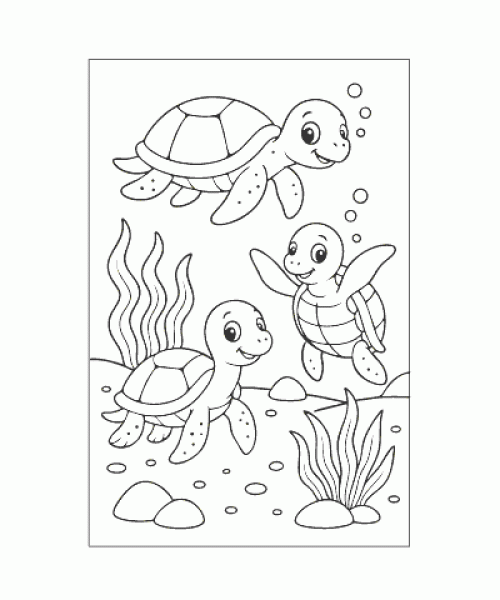 Ausmalbild Schildkröte 024