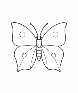 Ausmalbild Schmetterling 026