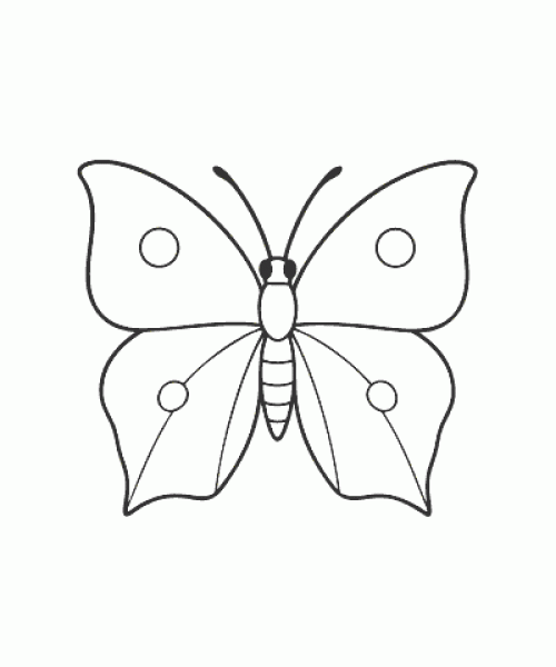 Ausmalbild Schmetterling 026