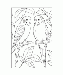 Ausmalbild Tiere 063