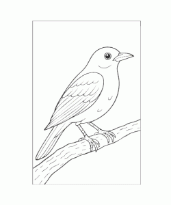 Ausmalbild Tiere 065