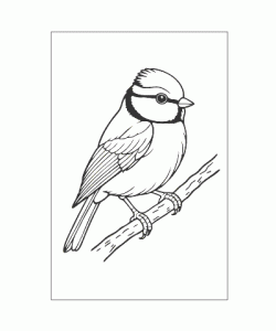 Ausmalbild Tiere 066